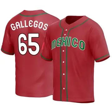Giovanny Gio Gallegos Signed Jersey St. Louis Cardinals Mexico Beckett BAS  #2